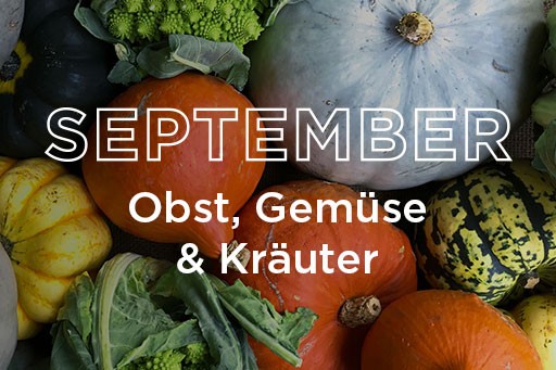 Klean-Kanteen_Blog-Special_September